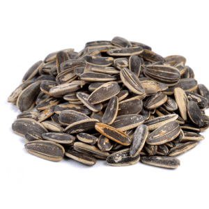 Sunflower Seeds
